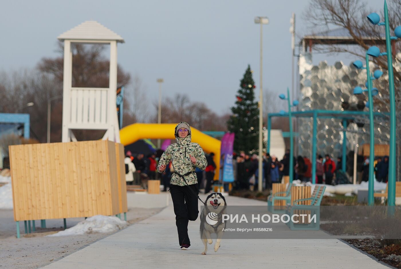 "Хаски-Trail" в Белгороде