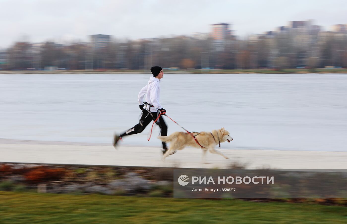 "Хаски-Trail" в Белгороде