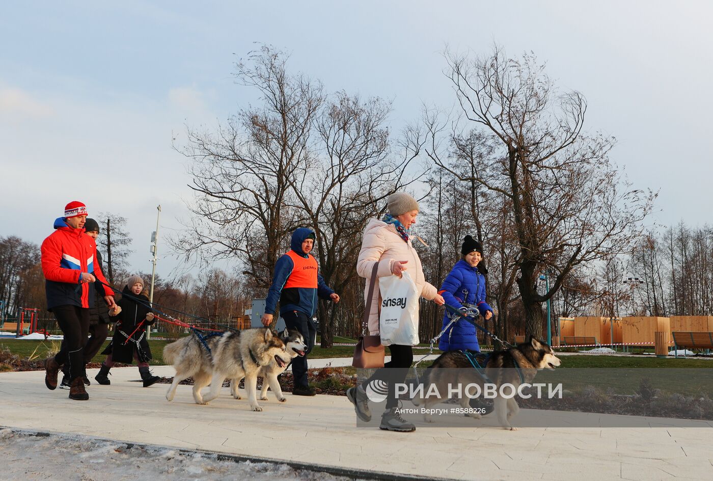 "Хаски-Trail" в Белгороде