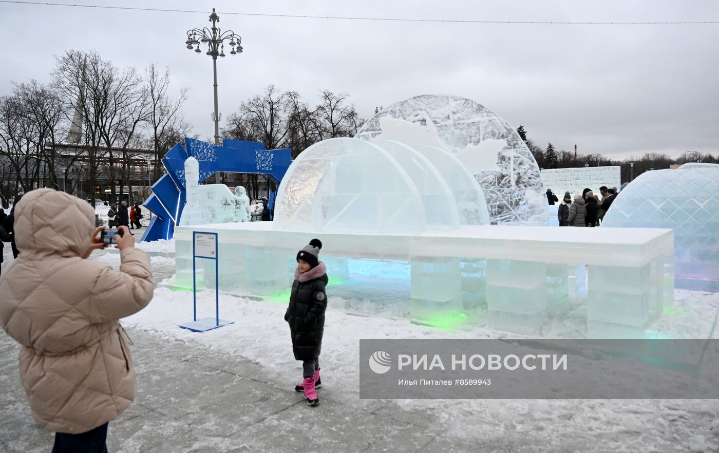 Выставка "Россия".  Открытие экспозиции ледяных скульптур