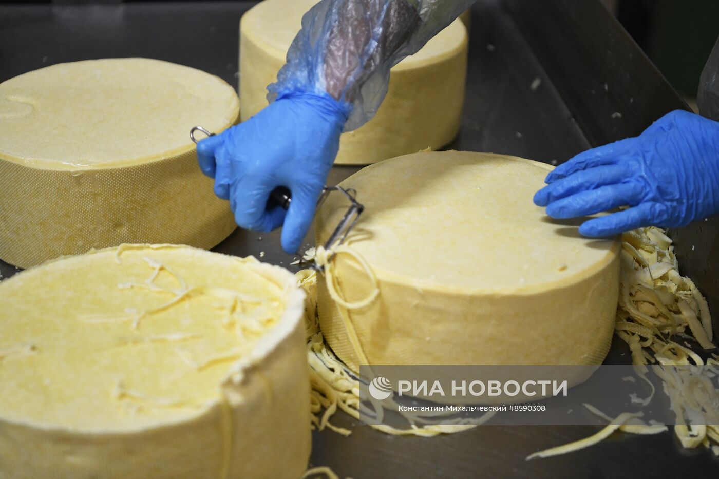 Производство сыров в Крыму 