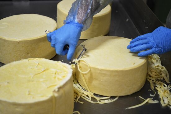 Производство сыров в Крыму 