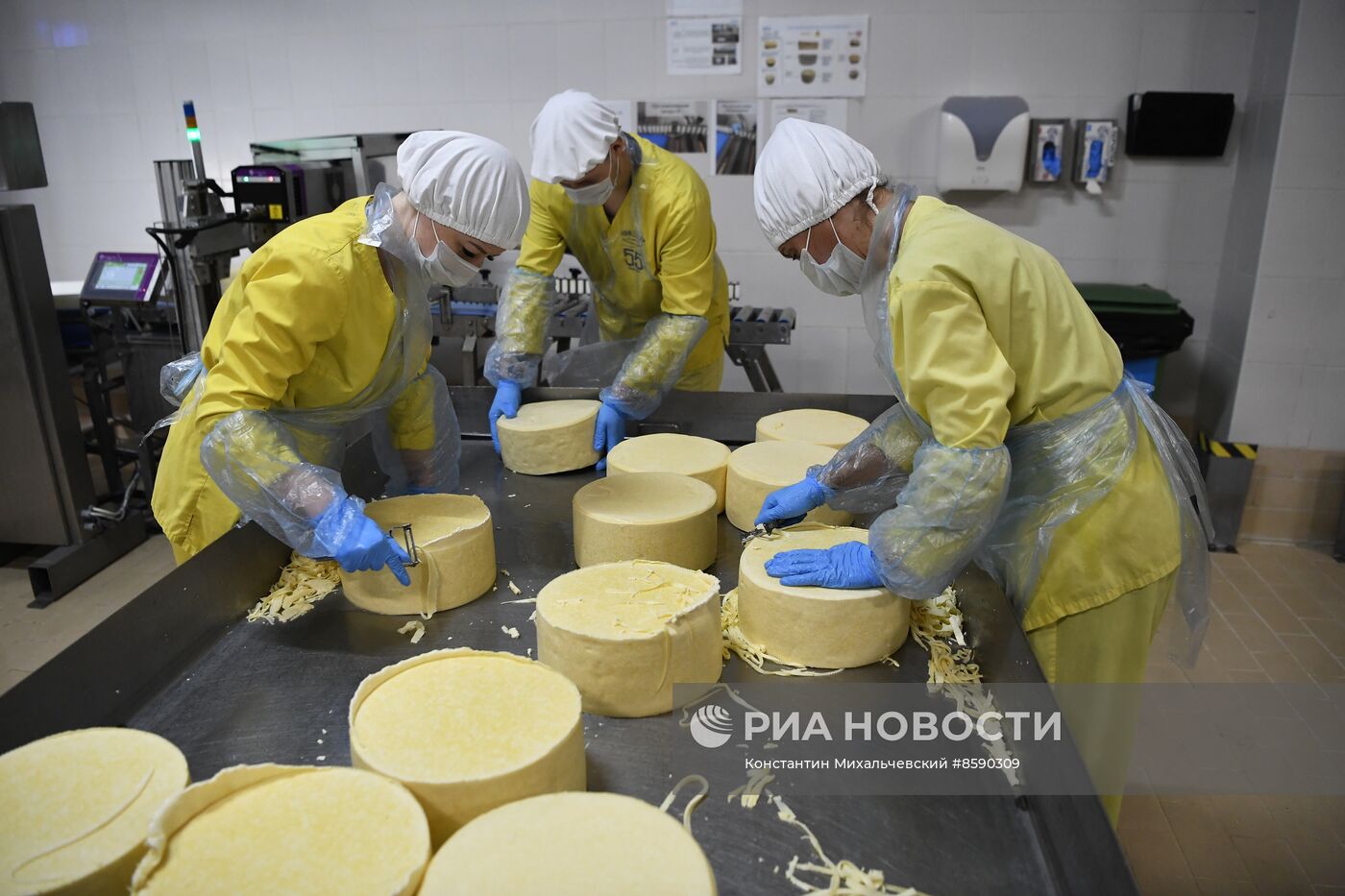 Производство сыров в Крыму 