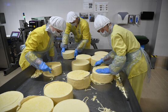 Производство сыров в Крыму 