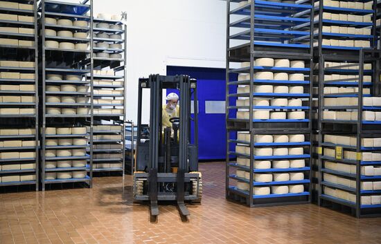 Производство сыров в Крыму 