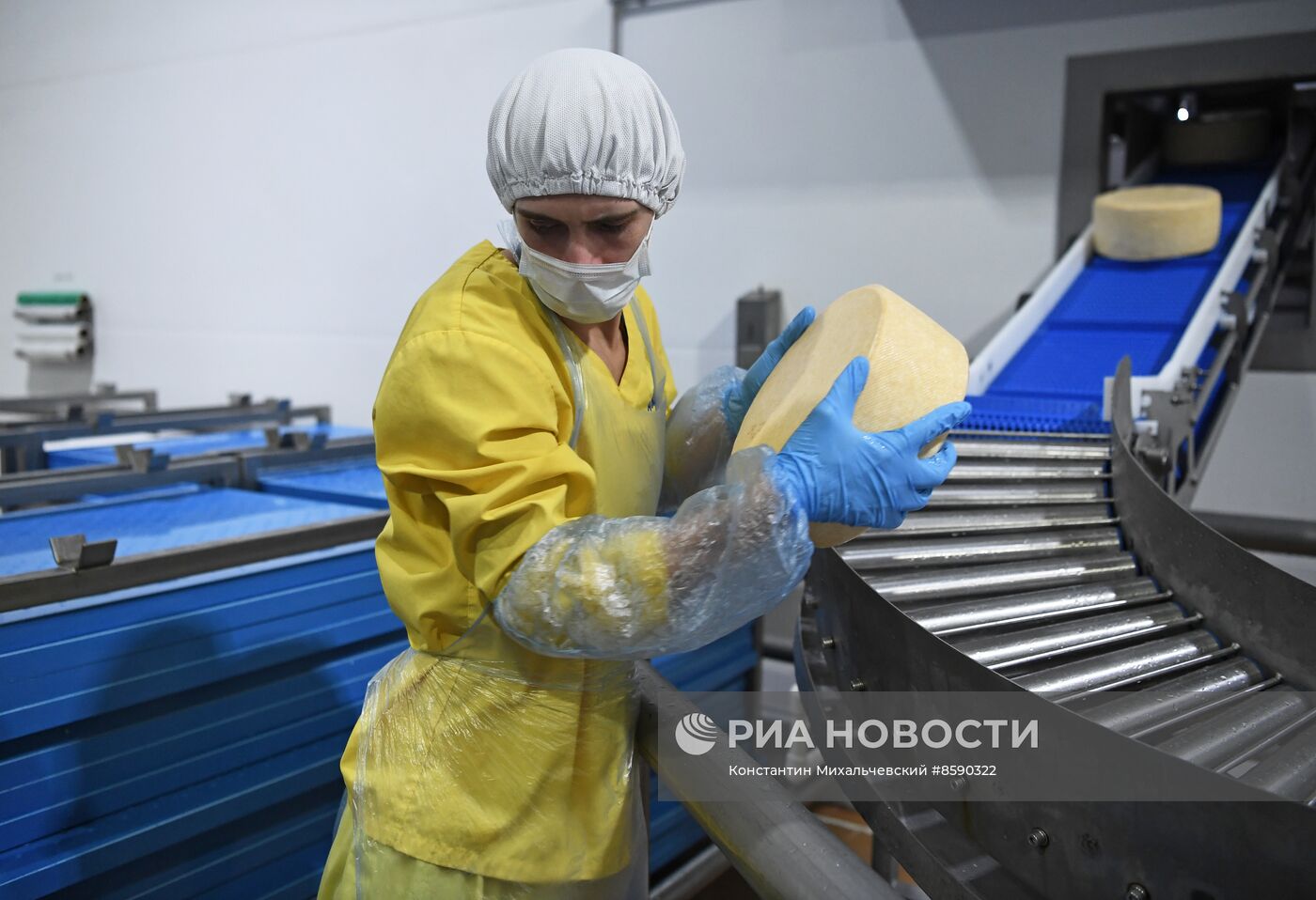 Производство сыров в Крыму 