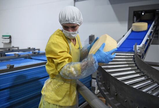 Производство сыров в Крыму 