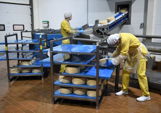 Производство сыров в Крыму 