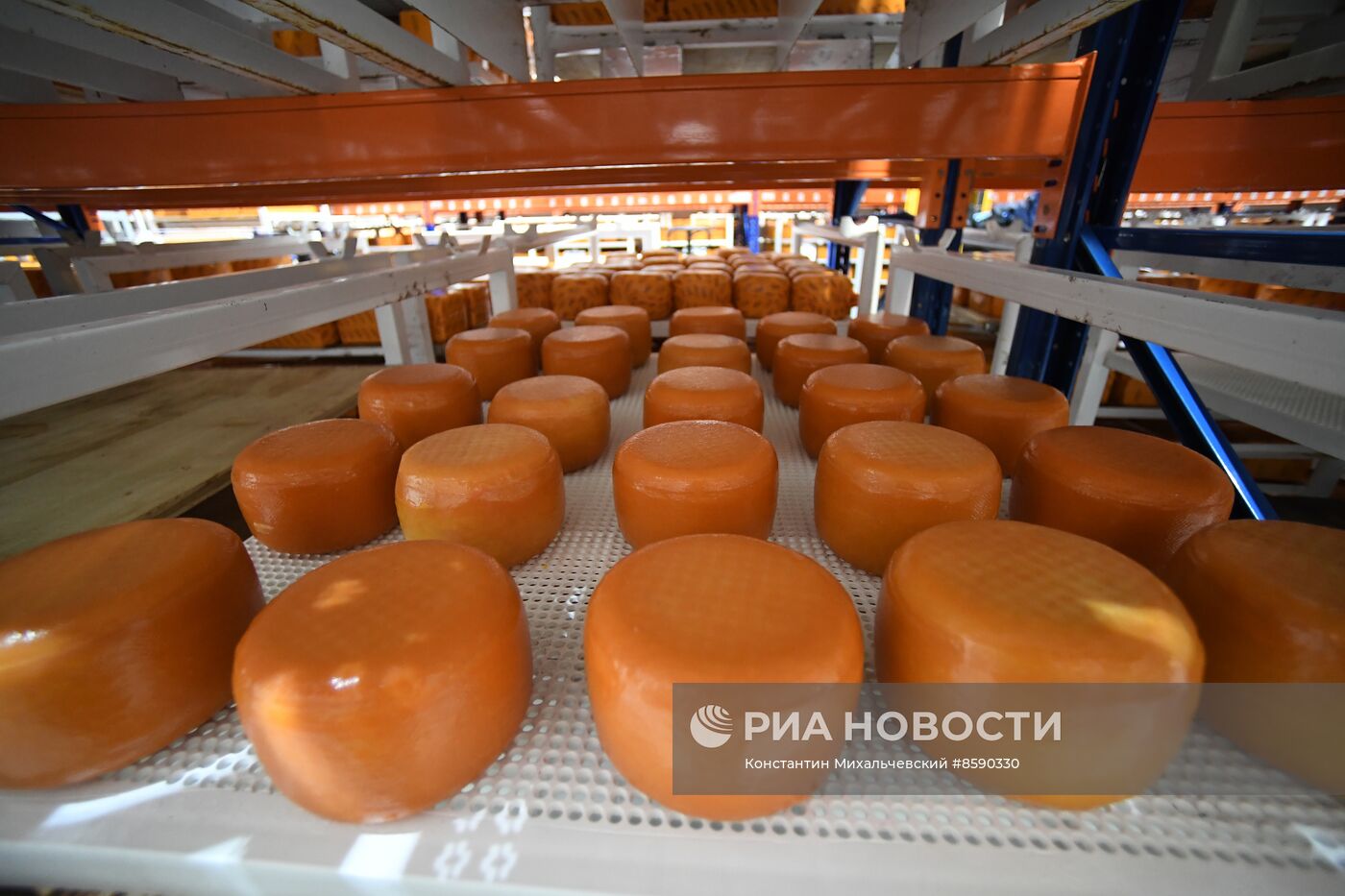 Производство сыров в Крыму 