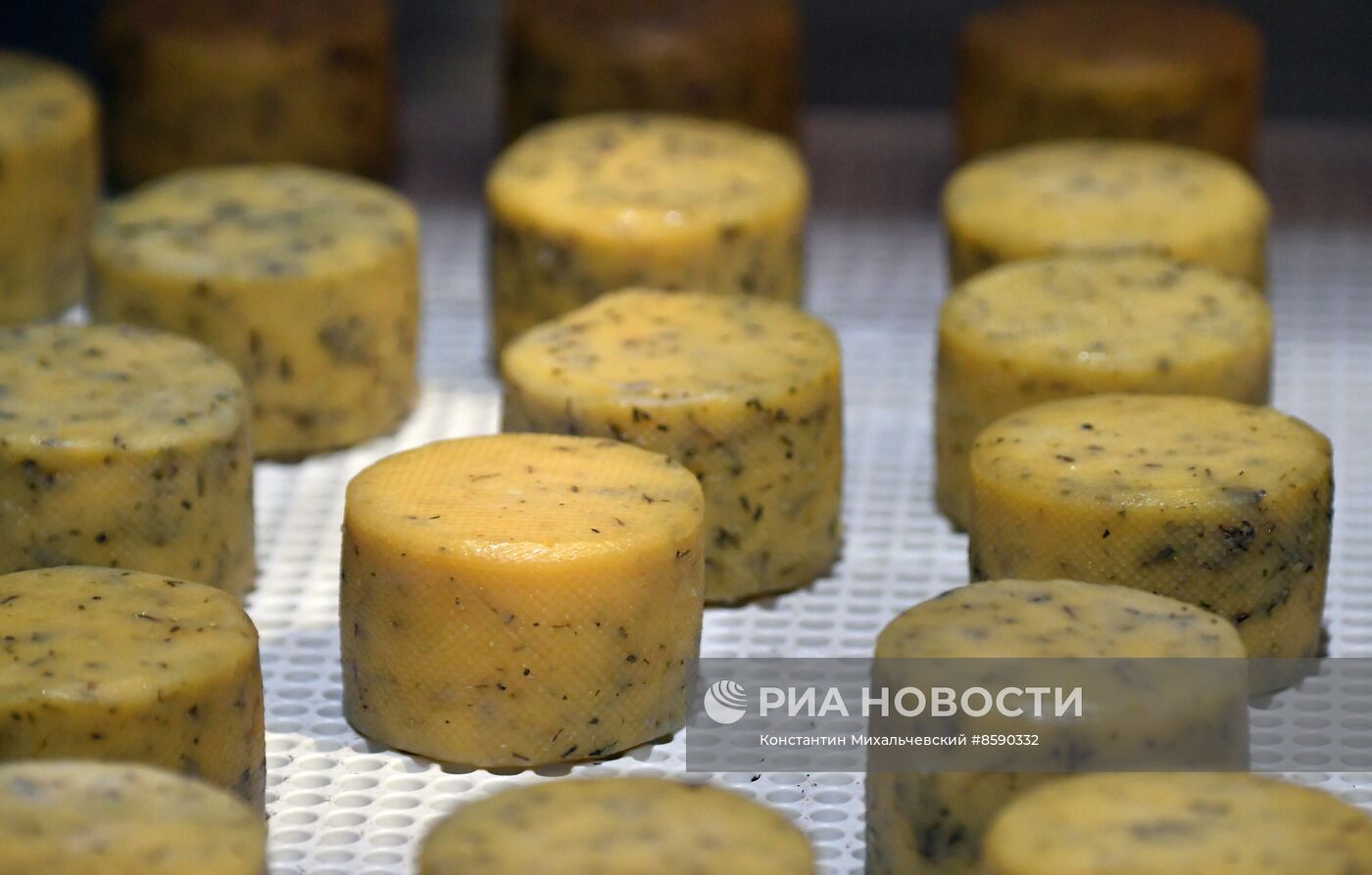 Производство сыров в Крыму 