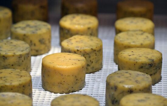 Производство сыров в Крыму 