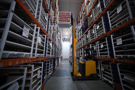 Производство сыров в Крыму 