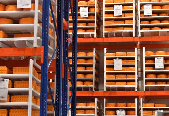 Производство сыров в Крыму 