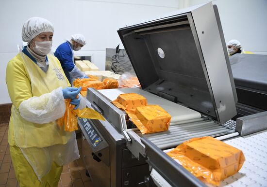 Производство сыров в Крыму 