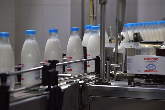 Производство сыров в Крыму 