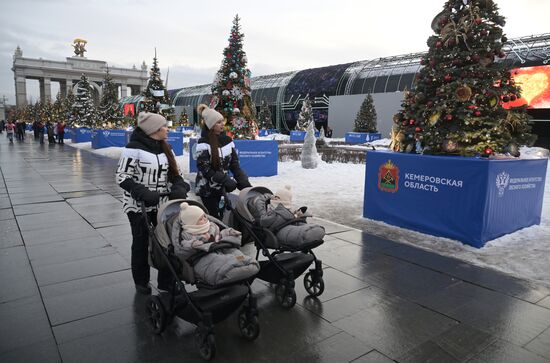 Международная выставка-форум "Россия"
Место: Россия, Москва. Автор: Владимир Астапкович/РИА Новости. Работа выставки "Россия"