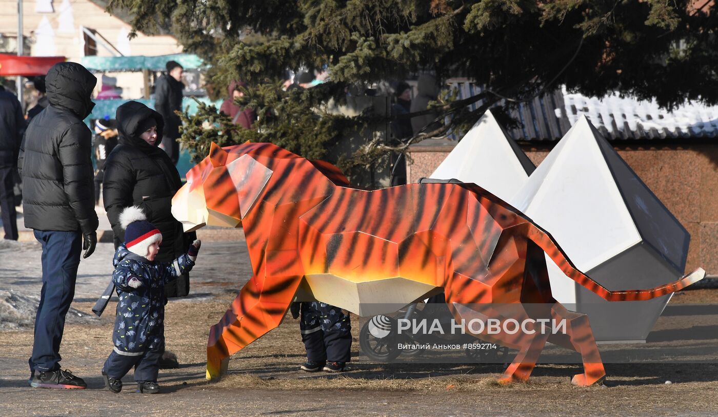 Новогодние гуляния в Уссурийске