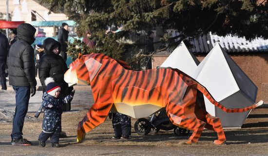 Новогодние гуляния в Уссурийске