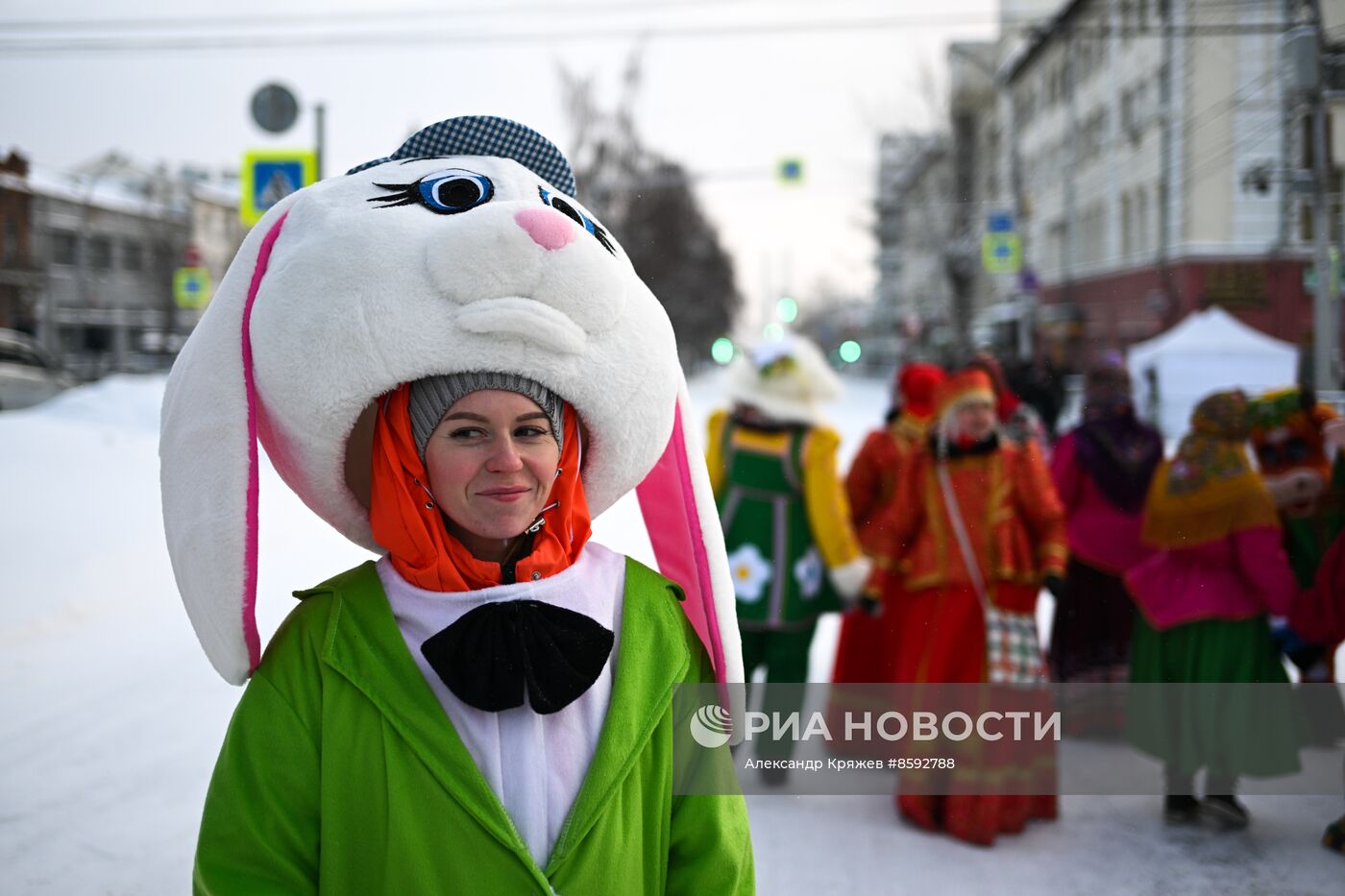 Шествие новогодних игрушек в Новосибирске