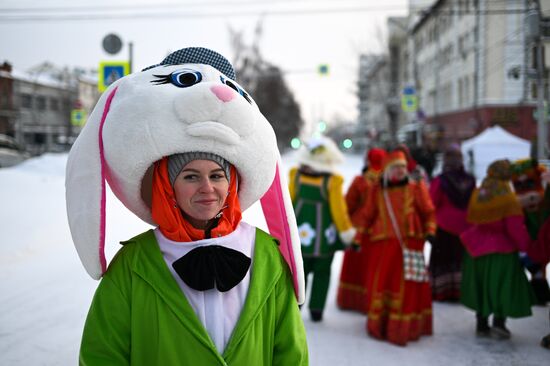 Шествие новогодних игрушек в Новосибирске