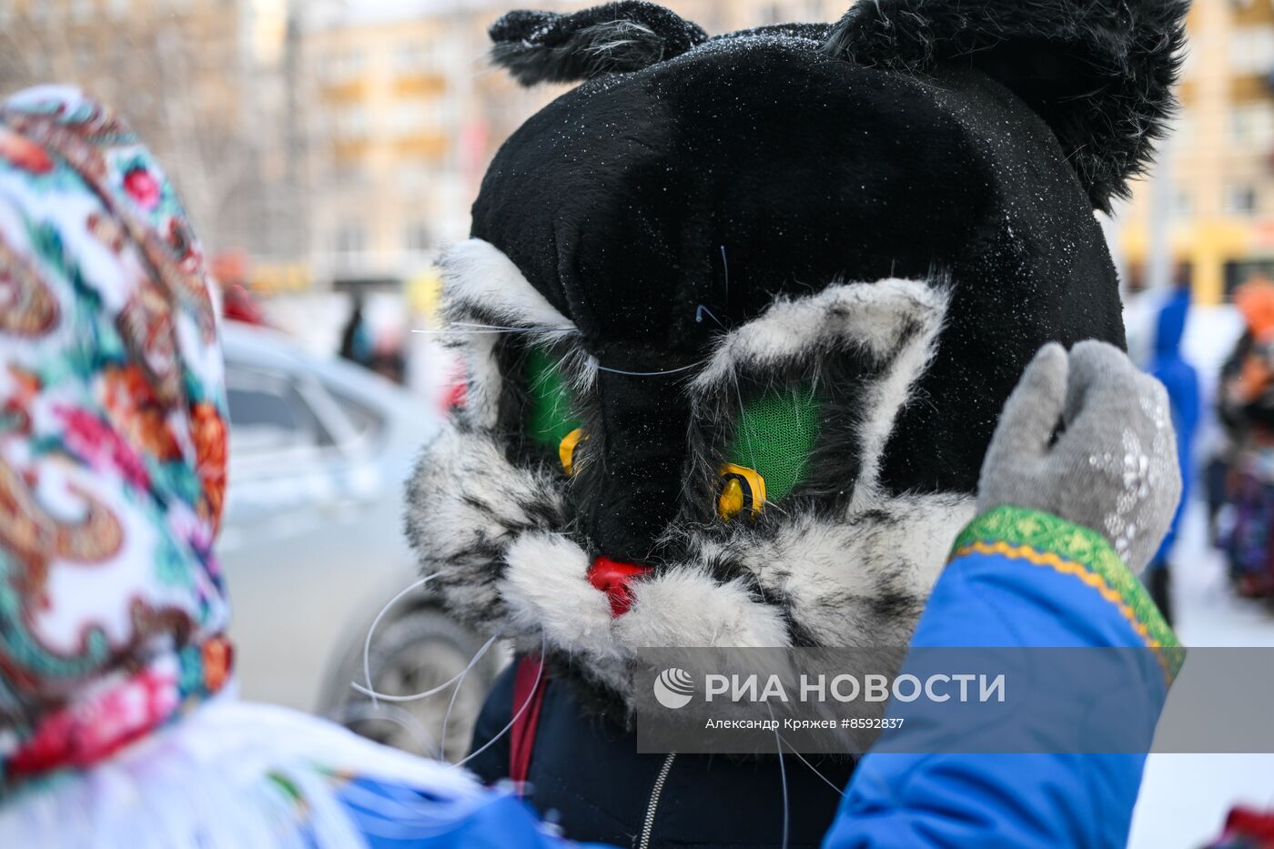 Шествие новогодних игрушек в Новосибирске