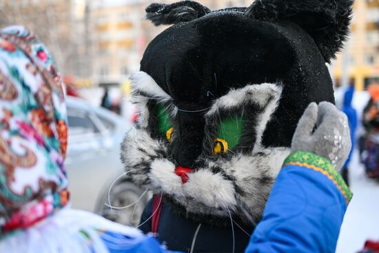 Шествие новогодних игрушек в Новосибирске