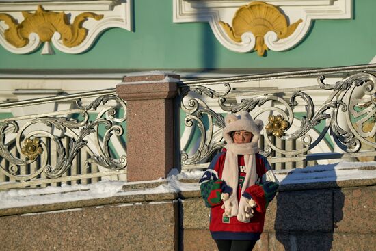 Сильный мороз в Санкт-Петербурге