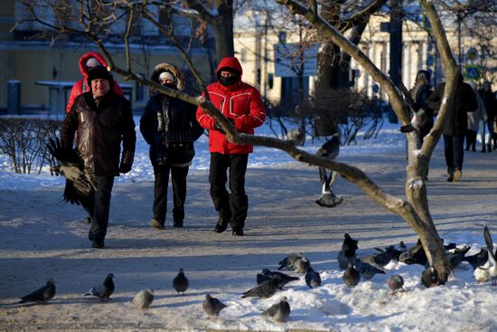 Сильный мороз в Санкт-Петербурге