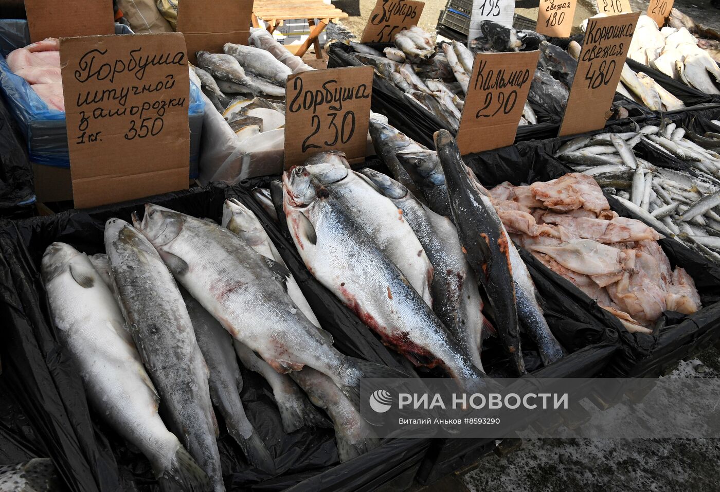 Продовольственная ярмарка во Владивостоке