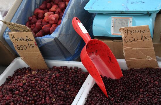 Продовольственная ярмарка во Владивостоке