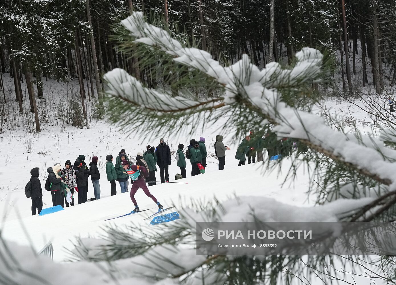 Биатлон. Кубок Содружества, 3-й этап. Спринт. Мужчины