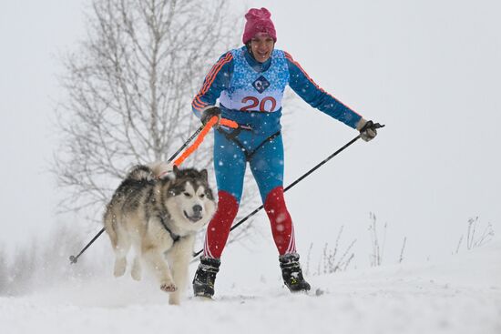 Чемпионат по ездовому спорту  "Рождественский заезд - 2024" в Новосибирске