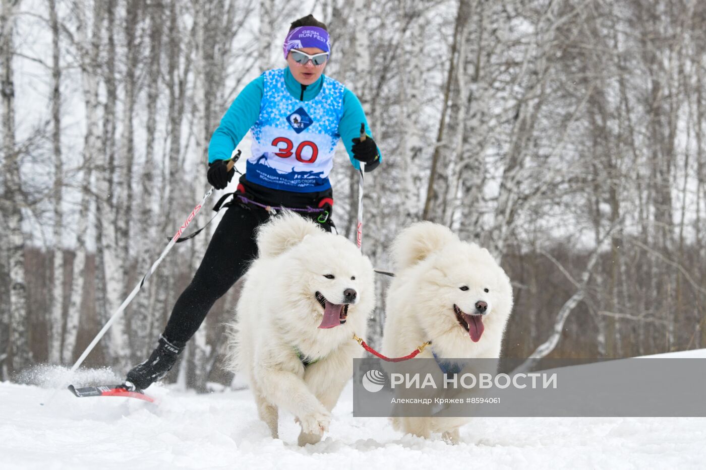 Чемпионат по ездовому спорту  "Рождественский заезд - 2024" в Новосибирске