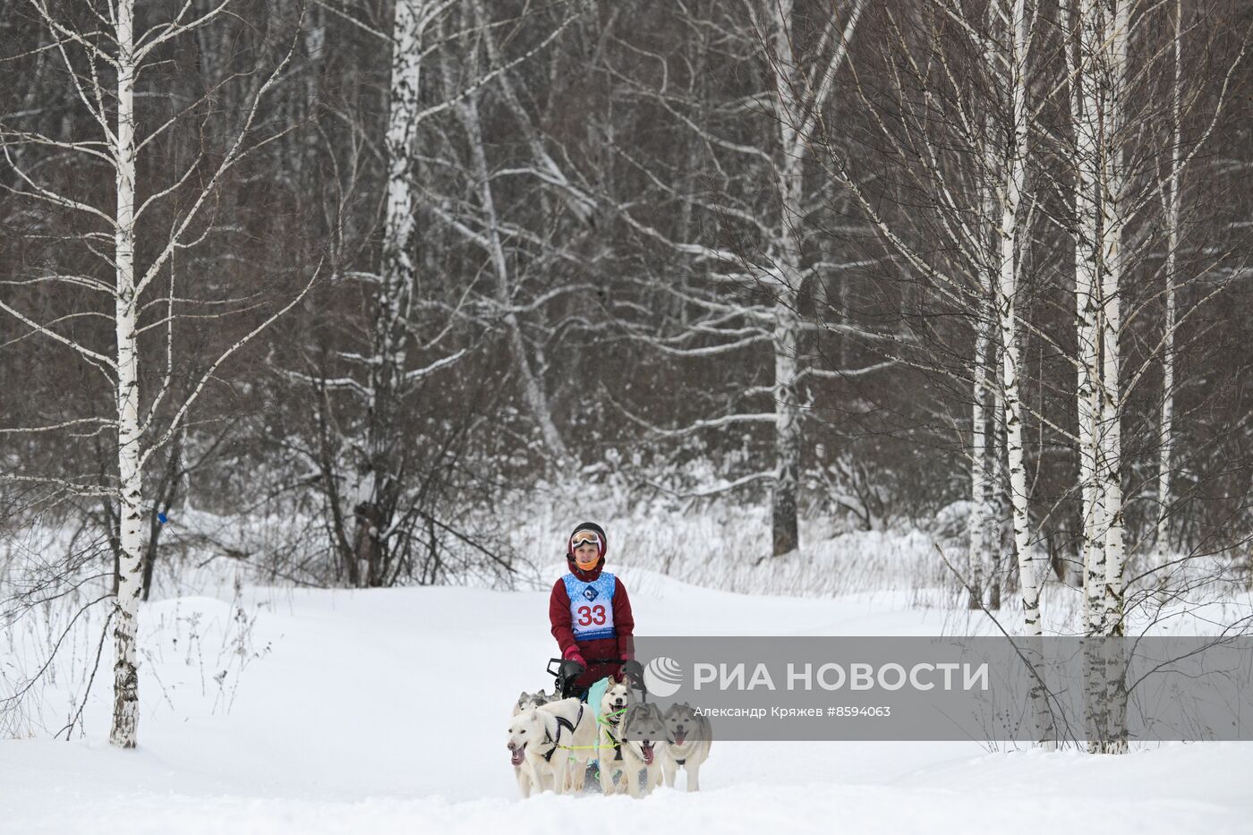 Чемпионат по ездовому спорту  "Рождественский заезд - 2024" в Новосибирске