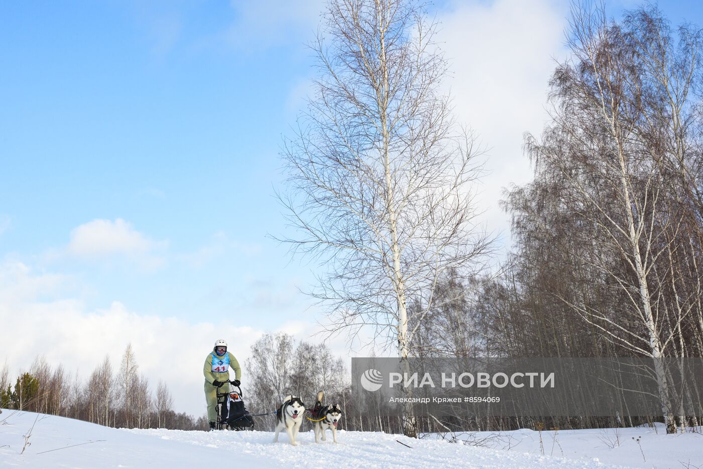 Чемпионат по ездовому спорту  "Рождественский заезд - 2024" в Новосибирске