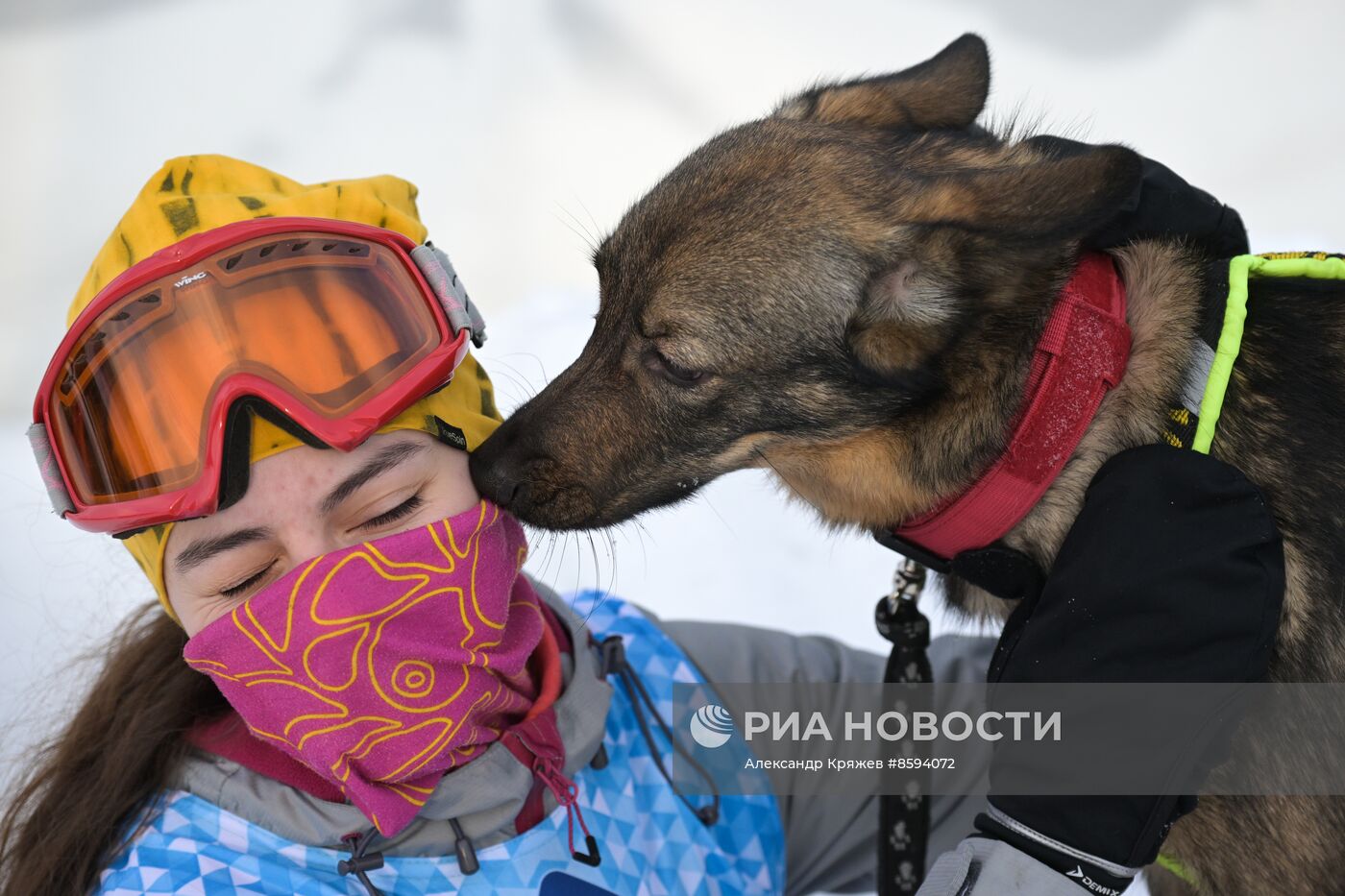 Чемпионат по ездовому спорту  "Рождественский заезд - 2024" в Новосибирске