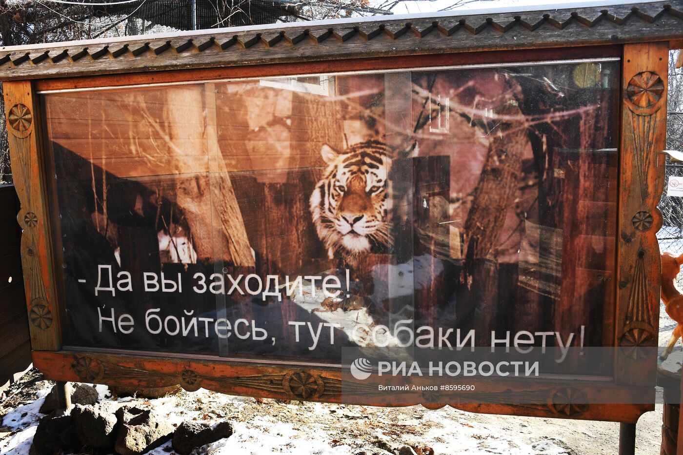 Работа Приморского сафари-парка