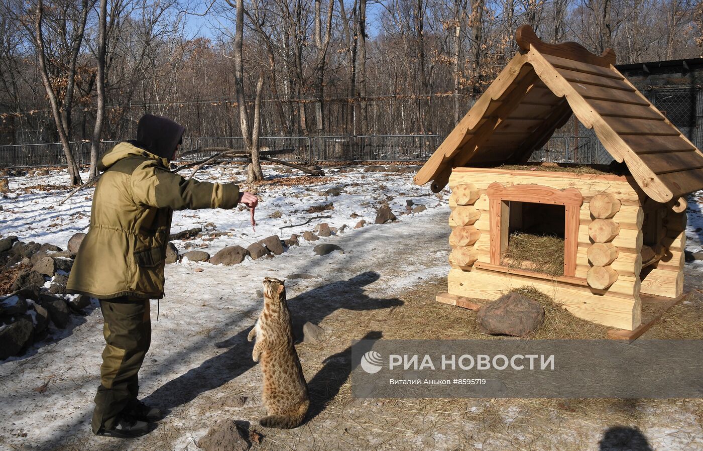 Работа Приморского сафари-парка