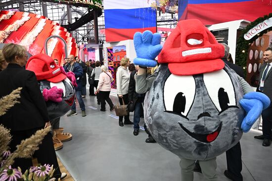 Международная выставка-форум "Россия"
Павильон №75 Место: Россия, Москва. Автор: Григорий Сысоев/РИА Новости. Работа выставки "Россия"