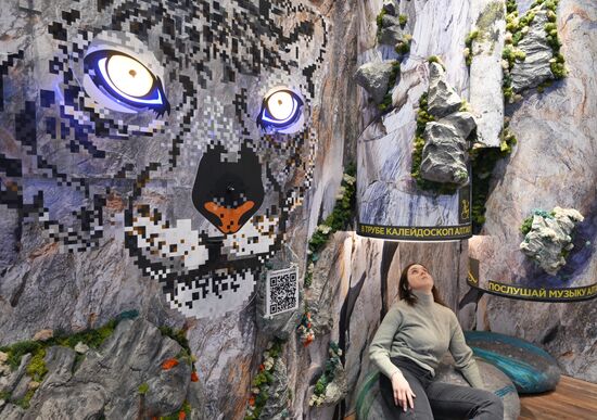 Международная выставка-форум "Россия"
Стенд Алтайского края, павильон №75
Место: Россия, Москва. Автор: Максим Блинов/РИА Новости. Работа выставки "Россия"