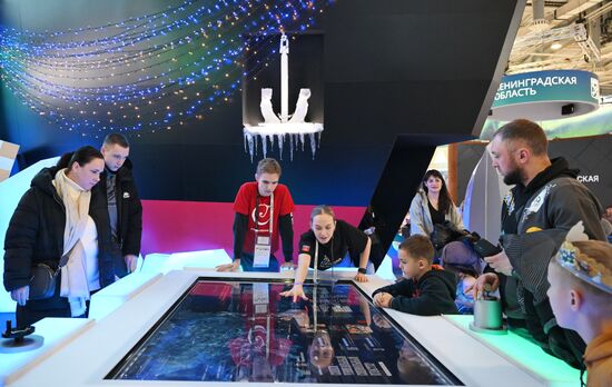 Международная выставка-форум "Россия"
Стенд Мурманской области, павильон №75
Место: Россия, Москва. Автор: Максим Блинов/РИА Новости. Работа выставки "Россия"