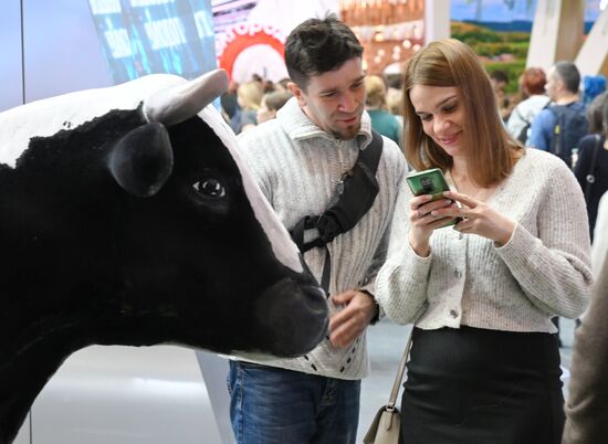 Международная выставка-форум "Россия"
Павильон №75
Место: Россия, Москва. Автор: Максим Блинов/РИА Новости. Работа выставки "Россия"