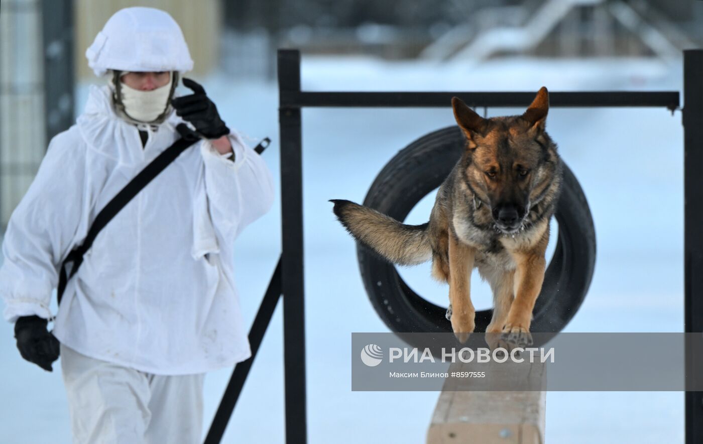 Учения инженерных войск ВС РФ в Подмосковье