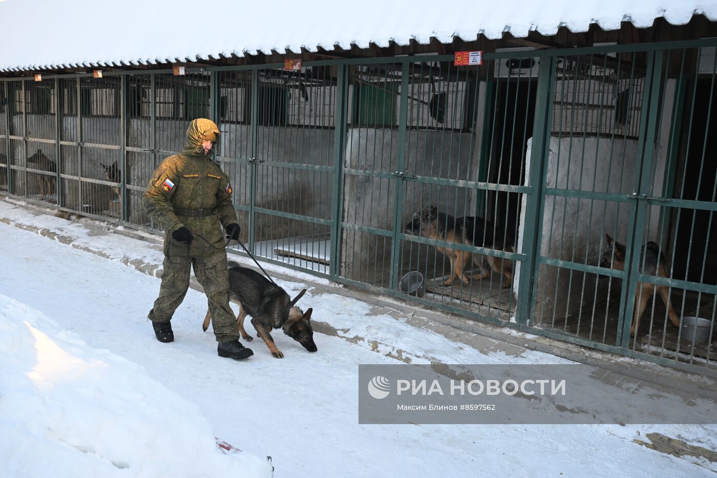 Учения инженерных войск ВС РФ в Подмосковье