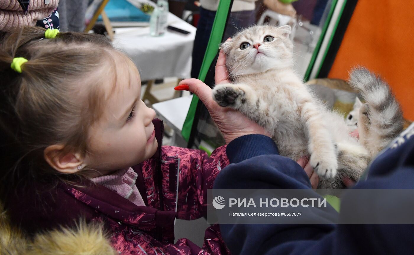 Выставка "КоШарики Шоу" в Москве