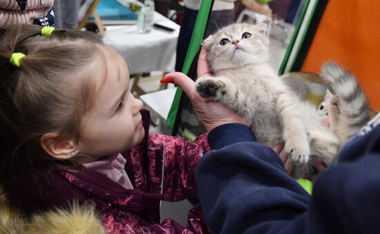 Выставка "КоШарики Шоу" в Москве