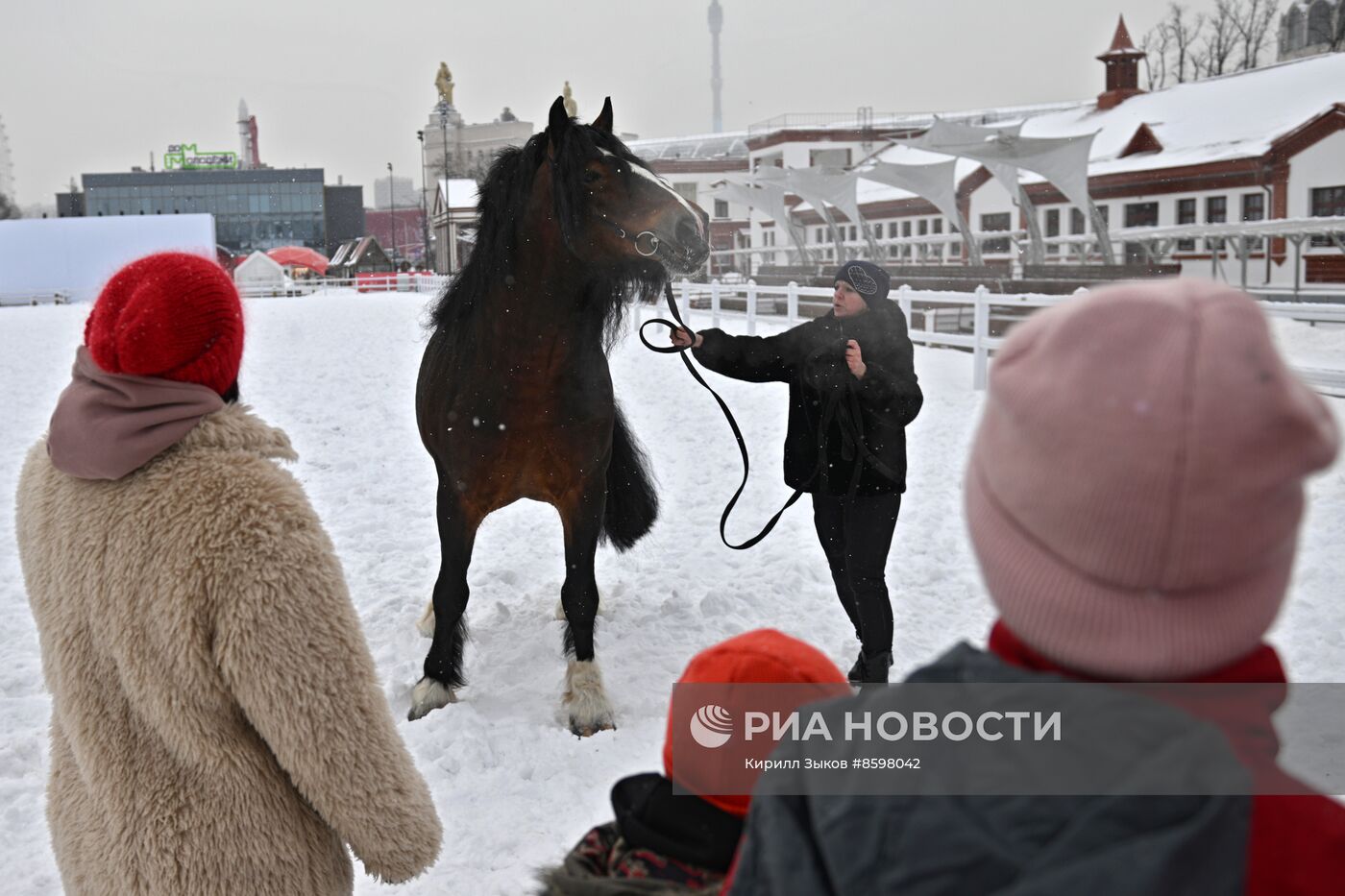 Выставка "Россия". Демонстрация лошадей породы "Владимирский тяжеловоз"
