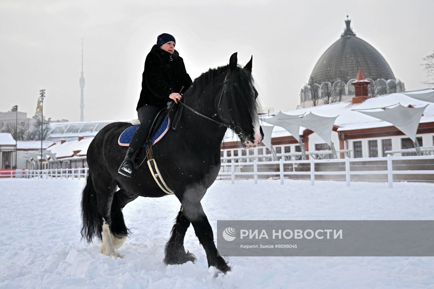 Выставка "Россия". Демонстрация лошадей породы "Владимирский тяжеловоз"