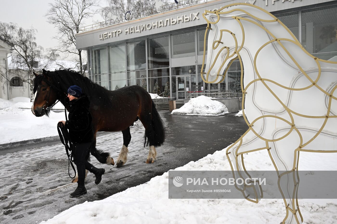 Выставка "Россия". Демонстрация лошадей породы "Владимирский тяжеловоз"