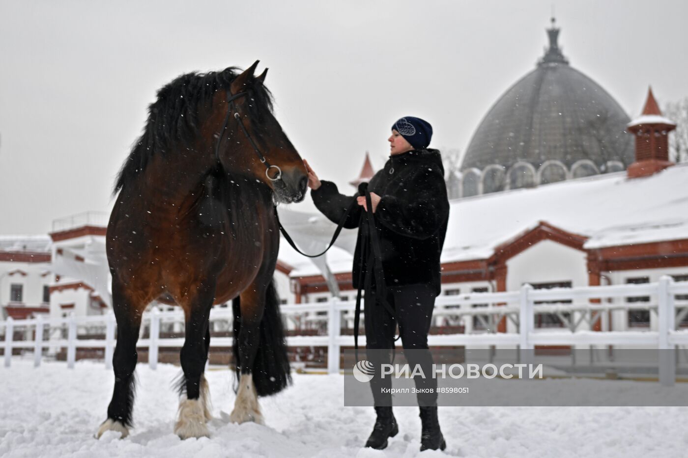 Выставка "Россия". Демонстрация лошадей породы "Владимирский тяжеловоз"